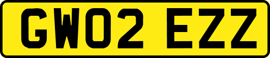 GW02EZZ