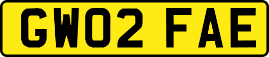 GW02FAE