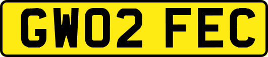 GW02FEC