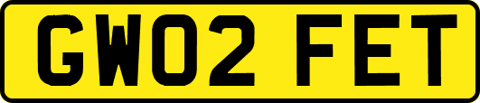 GW02FET