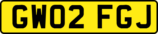 GW02FGJ