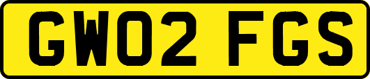 GW02FGS
