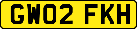 GW02FKH