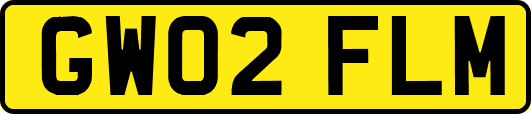 GW02FLM