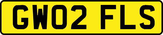 GW02FLS
