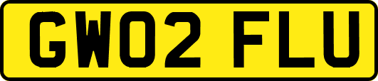 GW02FLU