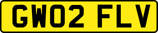 GW02FLV