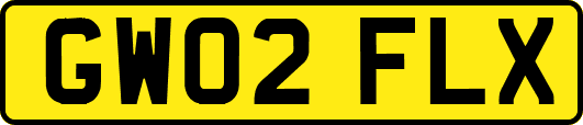 GW02FLX