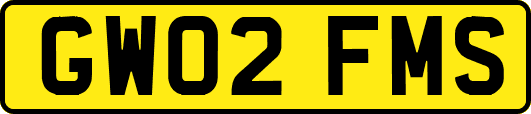 GW02FMS