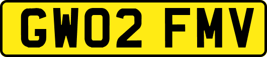 GW02FMV