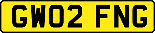 GW02FNG