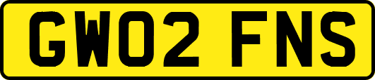 GW02FNS