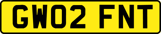 GW02FNT