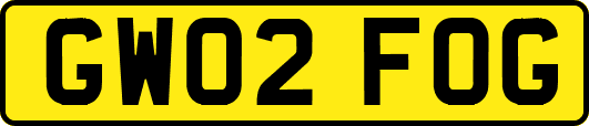GW02FOG
