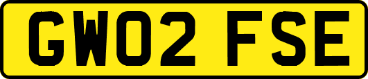GW02FSE