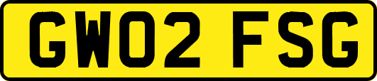 GW02FSG