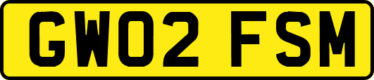 GW02FSM