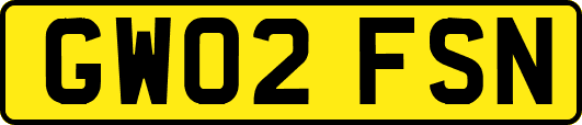GW02FSN