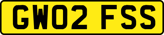 GW02FSS
