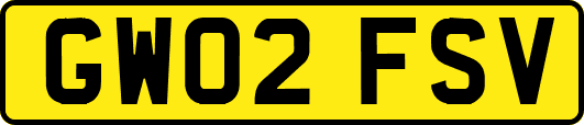 GW02FSV