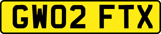 GW02FTX