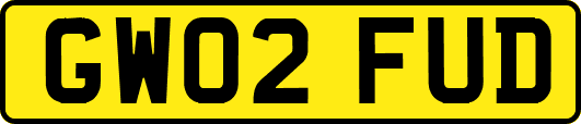 GW02FUD