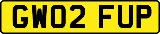 GW02FUP