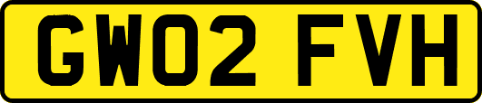 GW02FVH