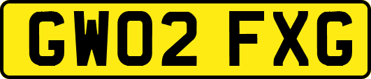 GW02FXG