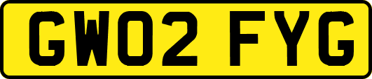 GW02FYG