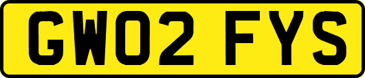 GW02FYS