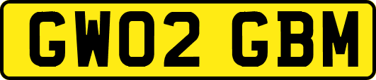 GW02GBM