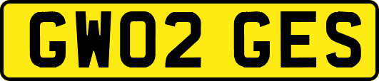 GW02GES