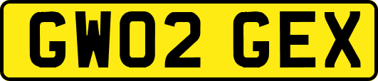 GW02GEX