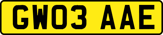 GW03AAE