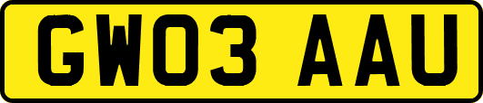 GW03AAU