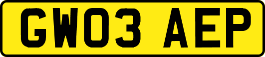 GW03AEP
