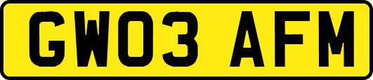 GW03AFM