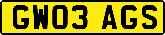 GW03AGS