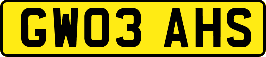 GW03AHS