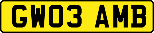 GW03AMB
