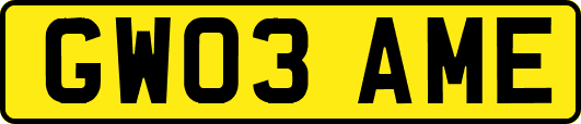 GW03AME