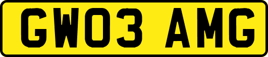 GW03AMG