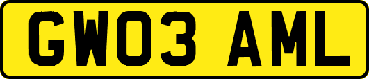 GW03AML