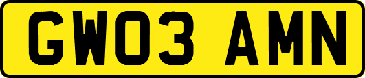 GW03AMN