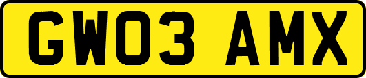GW03AMX