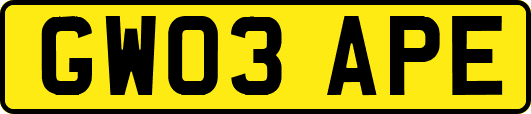 GW03APE
