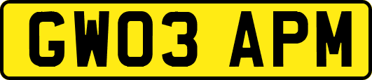 GW03APM