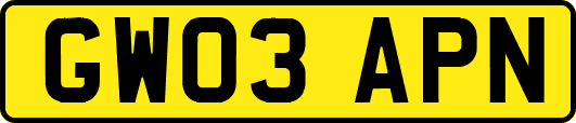 GW03APN