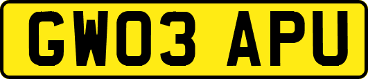GW03APU